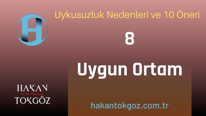 Uykusuzluk Nedenleri Ortam