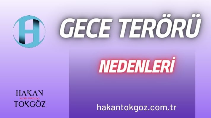 Gece Terörü Nedenleri