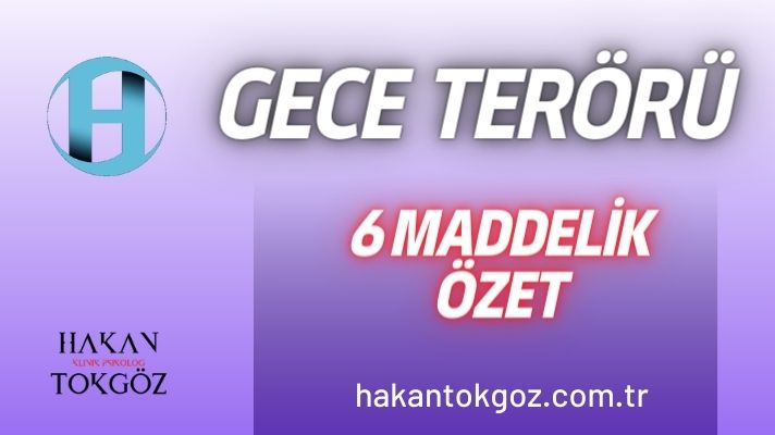 Gece Terörü Özet